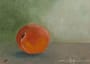 Apricot-Still life painting by Isabel Ferreira